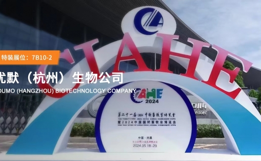 �ڶ�ʮһ�죨2024���й�����ҵ������һƳ����